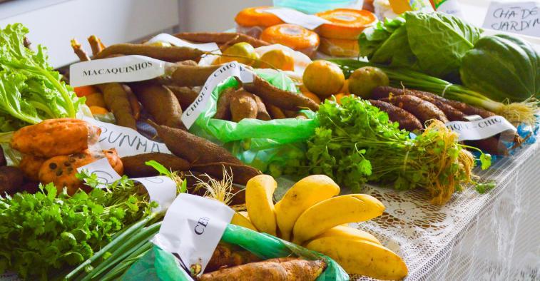 SEDUC apresenta alimentos da merenda escolas do município para 2018.